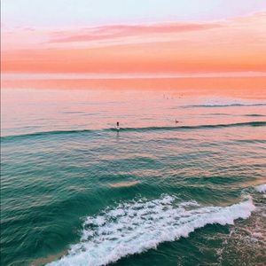 Meet your Posher, Ali